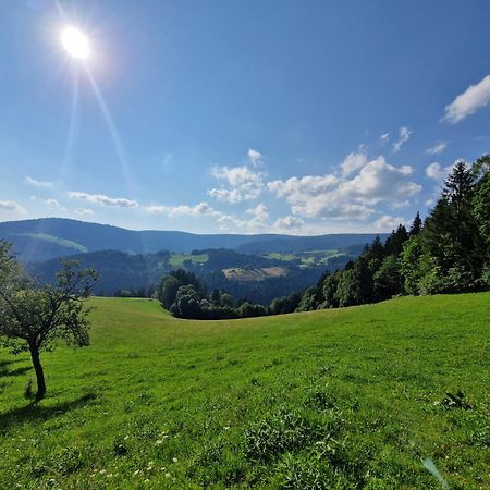 Villa Turisticna Kmetija Ramsak Zreče Exterior foto